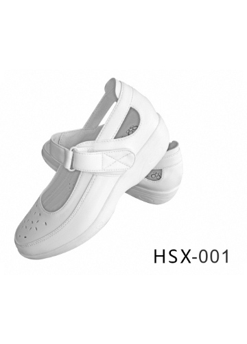 HSX-001