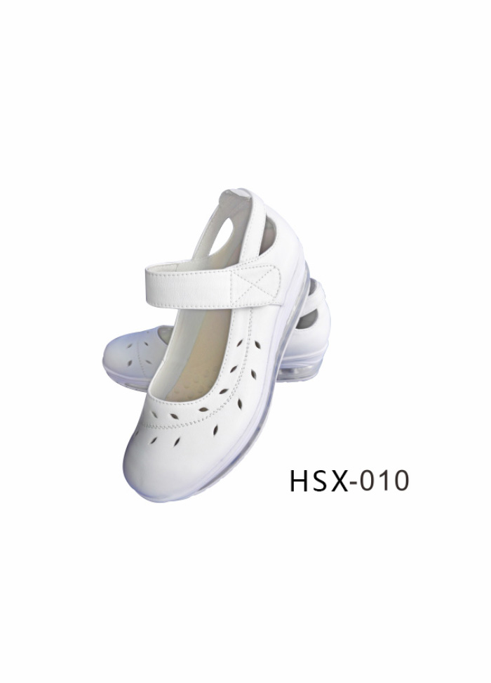 HSX-010